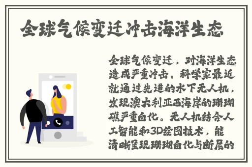 黑料不打烊在线下载